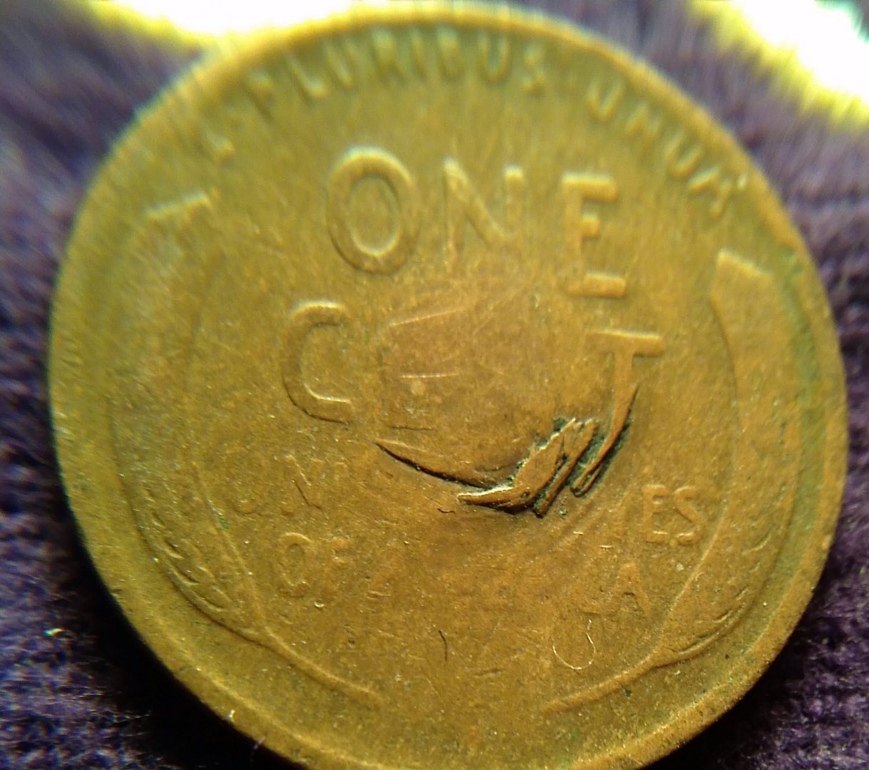 Found-Another-Misfit-In-My-Wheatys.-Mint-Error?